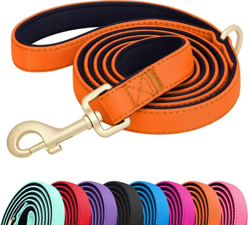 Miniatura 12 de Didog Correa para perro de nailon colorido de 5 pies con acolchado suave de longitud completa, ligera y duradera para perros pequeños, negro, S