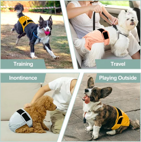 Miniatura 75 de Pañales lavables para perros, para hembras caninas, reutilizables, para periodo de celo, altamente absorbentes, para incontinencia, con broches