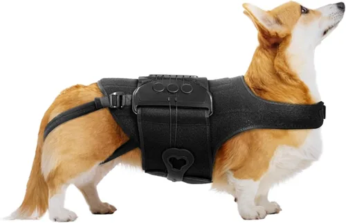 Miniatura 12 de Soporte de espalda para perro para IVDD, artritis, discos deslizados y herniados - Proporciona apoyo para la espalda y alivio del dolor, estabiliza