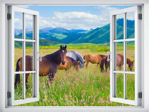 Miniatura 2 de wall26 Adhesivo removible de pared/mural de pared, vista de ventana, rústico, campo, semental, caballos, animales, naturaleza, fotografía, realismo