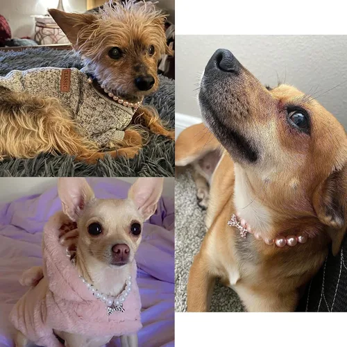 Miniatura 7 de Collar de perlas de perro y gato con hueso de diamantes de imitación, joyería de collar de boda para niñas, gatos, cachorros, accesorios