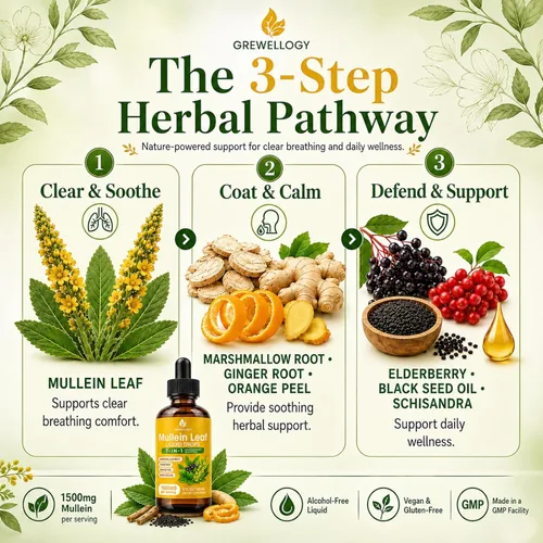 Miniatura 6 de Gotas de gordolobo para pulmones, 7 en 1 1500 mg de extracto líquido de hoja de gordolobo para limpieza de pulmones y apoyo respiratorio