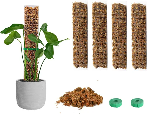 Miniatura 10 de EOX 2 Piezas Postes de Musgo de Plástico de 48 Pulgadas para Monstera, Postes Grandes en Forma de D para Plantas Trepadoras que Funcionan con Musgo