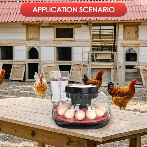 Miniatura 7 de Incubadoras para eclosionar huevos Incubadora automática de huevos con control de temperatura, pantalla de humedad, capacidad para 12 huevos