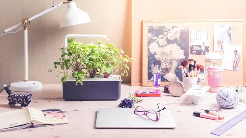 Miniatura 7 de Click & Grow Smart Garden 3 - Kit de jardinería para interiores (incluye cápsulas de albahaca)