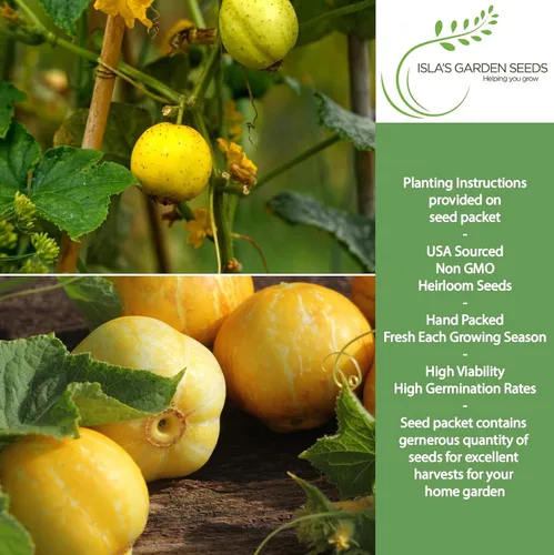 Miniatura 2 de Semillas de pepino de limón para plantar: más de 125 semillas sin OMG y reliquias, pepino amarillo redondo único, sabor crujiente y suave, por