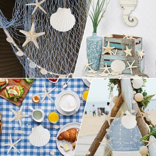 Miniatura 7 de Conchas de mar grandes de 4 a 5 pulgadas, conchas marinas a granel para manualidades y decoración, decoración de boda para fiesta en la playa
