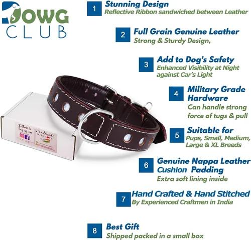 Miniatura 3 de Collar de Perro de Cuero Genuino Grano Completo, Resistente Cómodo, Acolchado, Fuerte Ideal para Cachorros, Razas Pequeñas, Medianas