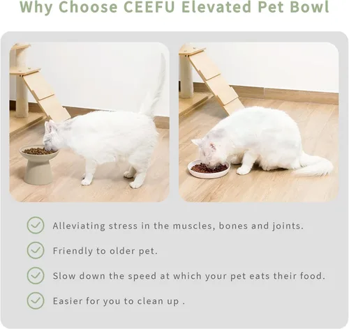 Miniatura 4 de CEEFU 2 cuencos elevados para gatos extra anchos para comida y agua – Fatiga bigotes, plato ancho de cerámica poco profundo, sin plomo ni cadmio