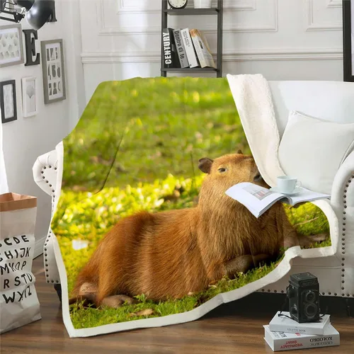 Miniatura 22 de Erosebridal Funny Capybaras Blanket Capybara Lover Gifts Cute Fleece Blanket for Kids Girls Boys, Capybara Decorations Blankets 40"x50", Kawaii