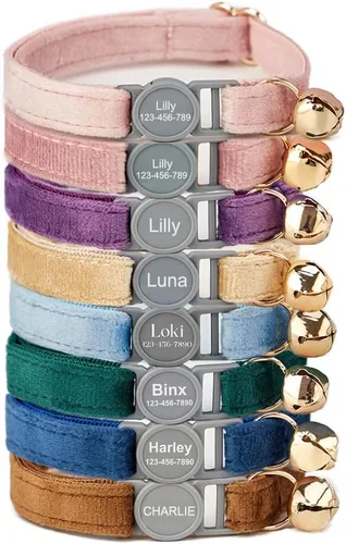 Miniatura 12 de Collar de gato personalizado con nombre y número de teléfono grabado para gatito niño y niña Estilo de pana