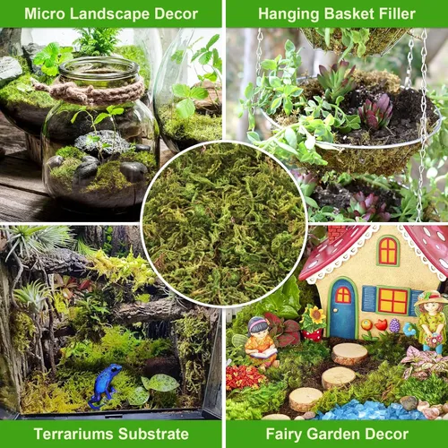Miniatura 7 de Legigo Musgo esfagnum de 3.5 onzas para plantas, mezcla para macetas de musgo de orquídea natural de 4 cuartos de galón, mezcla seca, musgo