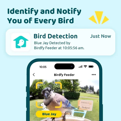 Miniatura 2 de NETVUE Birdfy® Hummee - Comedero inteligente para colibríes con cámara, videos de aves de captura automática y observación de aves de cerca, Azul