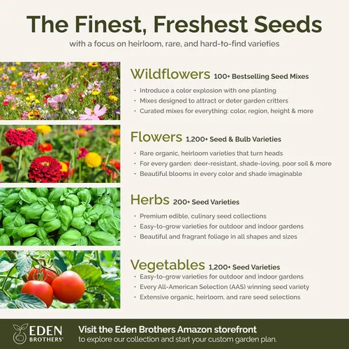 Miniatura 6 de Eden Brothers Semillas mixtas de flores silvestres de área seca para plantar, 1 libra, más de 480,000 semillas con cosmos, margarita africana, lino