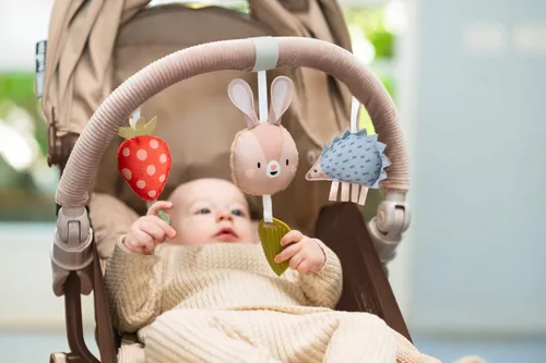 Miniatura 2 de Taf Toys Arco Ideal para lactantes y niños pequeños, se adapta a cochecito y carriola, arco de actividad con juguetes fascinantes, estimula