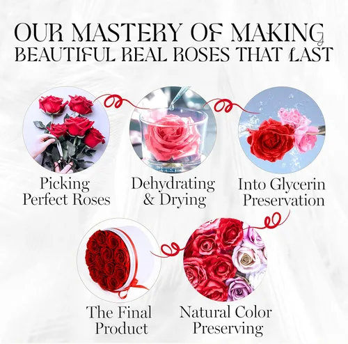 Miniatura 7 de GLAMOUR BOUTIQUE Flowers Forever - Caja de regalo, 12 rosas preservadas reales en caja blanca de terciopelo, regalo floral para esposa, mamá o ella