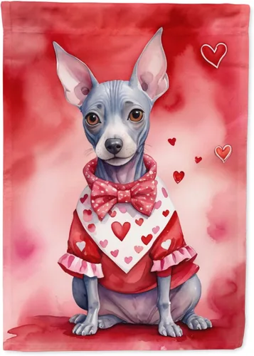 Miniatura 187 de Caroline's Treasures DAC5292CHF - Bandera de Border Collie My Valentine House para porche, grande, con manga para porche, para colgar en la pared