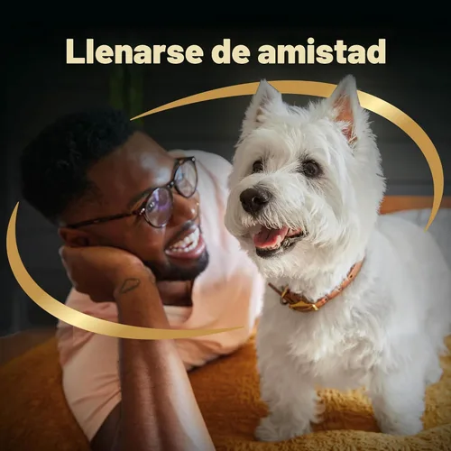 Miniatura 11 de Comida para perros de raza pequeña seca Cesar