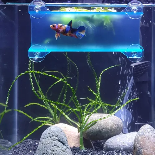 Miniatura 9 de Marca Betta Tunnel (negro opaco)