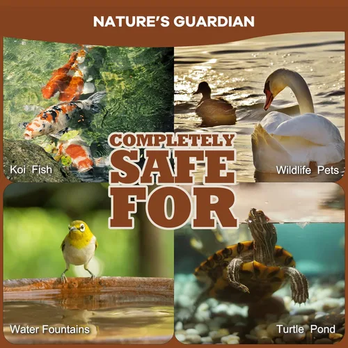 Miniatura 5 de Dr.Raifya's Reductor de polvo - 9.000 gránulos naturales de lodos de estanque y fuente de agua, bacterias beneficiosas seguras para peces y vida