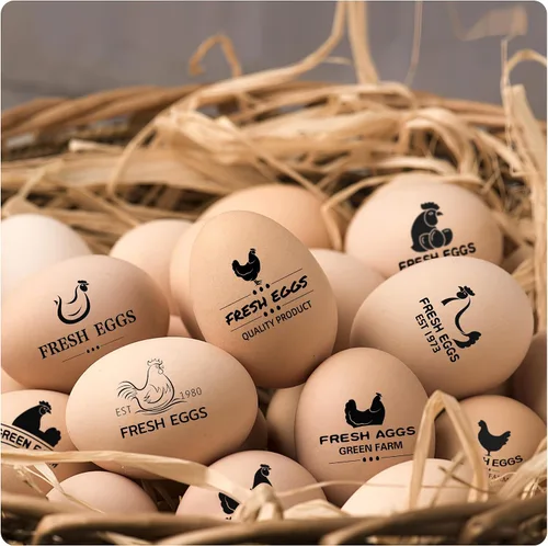Miniatura 4 de Sellos de huevos personalizados para huevos frescos, sello personalizado de huevo de pollo con logotipo de nombre, sello de huevo personalizado