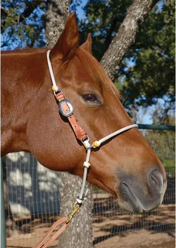 Miniatura 2 de Martin Saddlery Auriculares ajustables con punta de cuerda