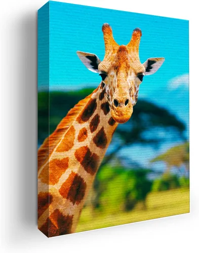 Miniatura 73 de Mavis Print - Lienzo decorativo para pared con diseño de conejo/conejo, 36 x 36 pulgadas, decoración de pared de animales impresos en HD y marco