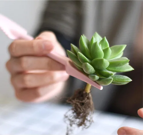 Miniatura 5 de Juego de herramientas de trasplante, 2 piezas pequeñas de plástico para siembra, extractor de plántulas, mini herramientas de jardín para plantar