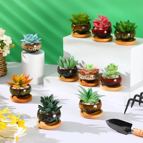 Miniatura 5 de 12 macetas de cerámica para suculentas de 2.5 pulgadas, macetas de jardín con drenaje y bandeja de bambú para plantas de jardín de interior, macetas