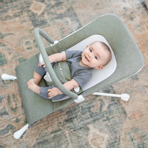 Miniatura 3 de Baby Delight Highland Baby Bouncer para bebé Infantil 0 – 6 meses Reclinable en 3 posiciones Sage Tweed Tweed salvia