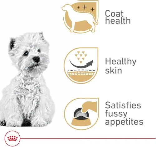 Miniatura 3 de Royal Canin Breed Health Nutrition West Highland White Terrier - Alimento seco para perros adultos, bolsa de 10 libras
