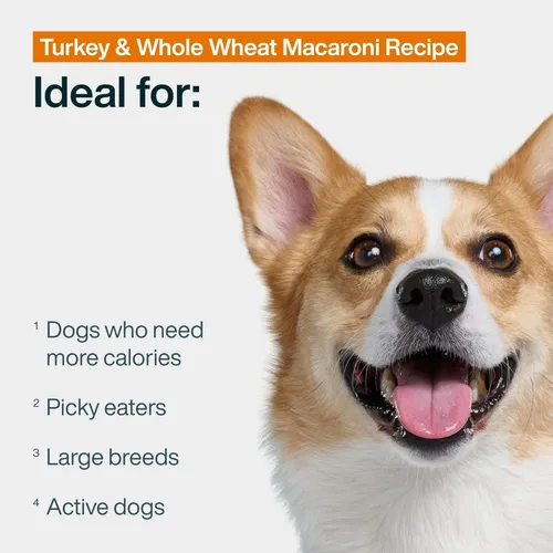 Miniatura 2 de JustFoodForDogs - Comida fresca congelada para perros, comida completa o complemento para perros, receta de comida para perros de grado humano