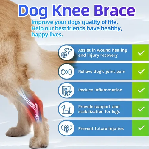Miniatura 4 de M - Rodillera para perro para pierna trasera desgarrada para apoyo con lesiones de ligamento cruzado, mejor recuperación con soportes de pierna