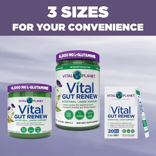 Miniatura 6 de Vital Planet - Suplemento en Polvo Vital Gut Renew para Reparación de Intestino Permeable con L-Glutamina, Malvavisco y Raíz de Jengibre, Raíz