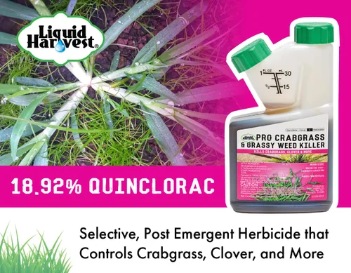 Miniatura 2 de Pro Crabgrass & Grassy Weed Killer - 18.92% Quinclorac (comparado con Drive XLR8) - Herbicida concentrado de pasto cangrejo profesional - Secado