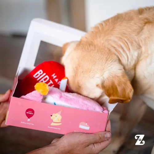 Miniatura 7 de ZippyPaws Caja de cumpleaños – Juguetes chirriantes para mantenerlos ocupados, peluche divertido de comida para perros pequeños, medianos y grandes