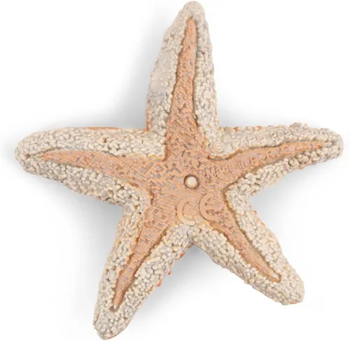 Miniatura 3 de Papo - Figura realista de estrella de mar para niños - A partir de 3 años - Colección de vida marina - Juego educativo Descubrimiento del océano