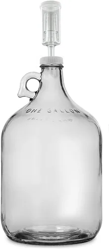 FastRack Fermentador de vino de vidrio con esclusa, incluye tapón de goma y cierre de aire, con capacidad de 1 galón, transparente (B00BEYREIW), 1
