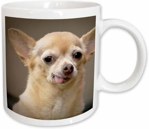 Miniatura 14 de 3dRose Taza de café, tamaño – 15 oz – Perro Chihuahua sin dientes, Santa Fe, Nuevo México – US32 JMR0502 – Julien McRoberts Dogs – divertido regalo