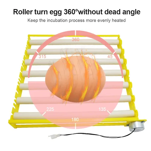 Miniatura 4 de HBtree - Bandeja de huevos para incubadora multifunción automática para pollos/patos/pájaros/aves de corral (7 tubos)