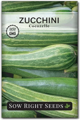 Sow Right Seeds - Semillas de calabacín Cocozelle para plantar - Paquete de reliquia sin OMG con instrucciones para plantar y cultivar un huerto