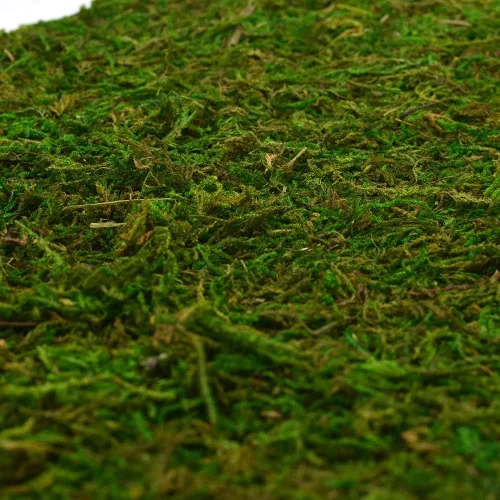 Miniatura 8 de Tapete de musgo seco para bodas, fiestas de cumpleaños, decoración de jardín de hadas, verde oscuro (verde, 14 x 9 pulgadas)