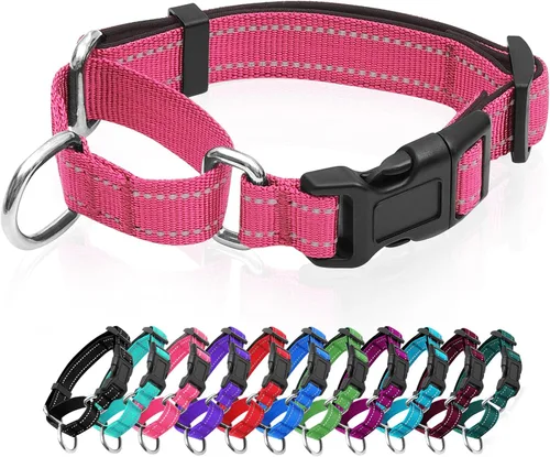 Miniatura 16 de Collares de perro Martingala reflectantes. Collar de perro con hebilla de liberación rápida. Collar ajustable de nailon transpirable acolchado suave