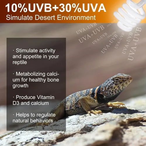 Miniatura 3 de Bombilla UVB para reptiles 10.0, 23 W UV espiral compacta lámpara de terrario fluorescente ideal para reptiles del desierto, dragones barbudos