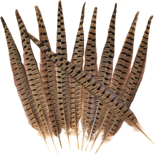 Miniatura 13 de THARAHT 24 plumas de faisán femenino, plumas naturales de 6 a 8 pulgadas, 5.9-7.9 in para manualidades, hogar, boda, fiesta, actuación, decoración