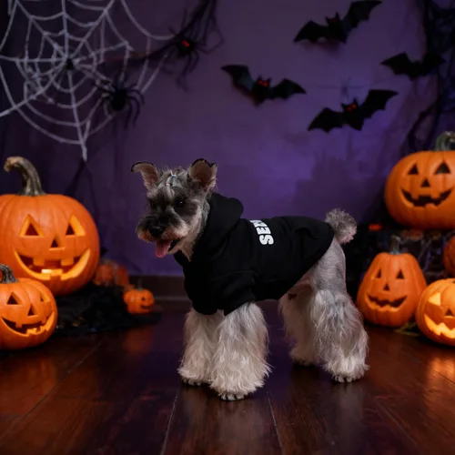 Miniatura 7 de EXPAWLORER Sudadera con capucha para perro, suave y cálida con agujero para correa, disfraz de Halloween para perros de invierno y otoño, ropa