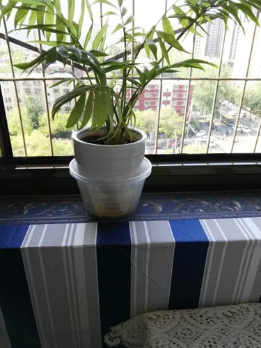 Miniatura 6 de UPREDO Papel tapiz decorativo 3D con moldura floral, borde impermeable para pared, techo, para baño, cocina, azulejos en muro, 4 pulgadas por 16.4