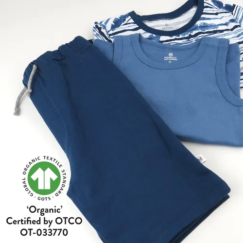 Miniatura 4 de HonestBaby Playwear Outfit Sets, Tops and Bottoms 100% Organic Cotton for Baby, Toddler Boys, Unisex (LEGACY)