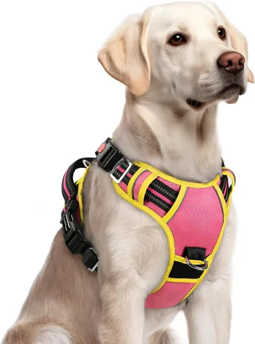 Miniatura 54 de rabbitgoo Arnés para perro de tamaño pequeño, chaleco para perro sin tirones con 3 hebillas, arnés ajustable y acolchado suave para mascotas con asa