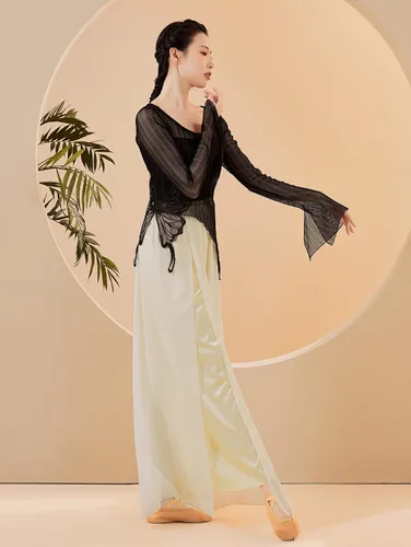 Miniatura 5 de Camiseta de malla transparente con cuello redondo y manga larga para mujer